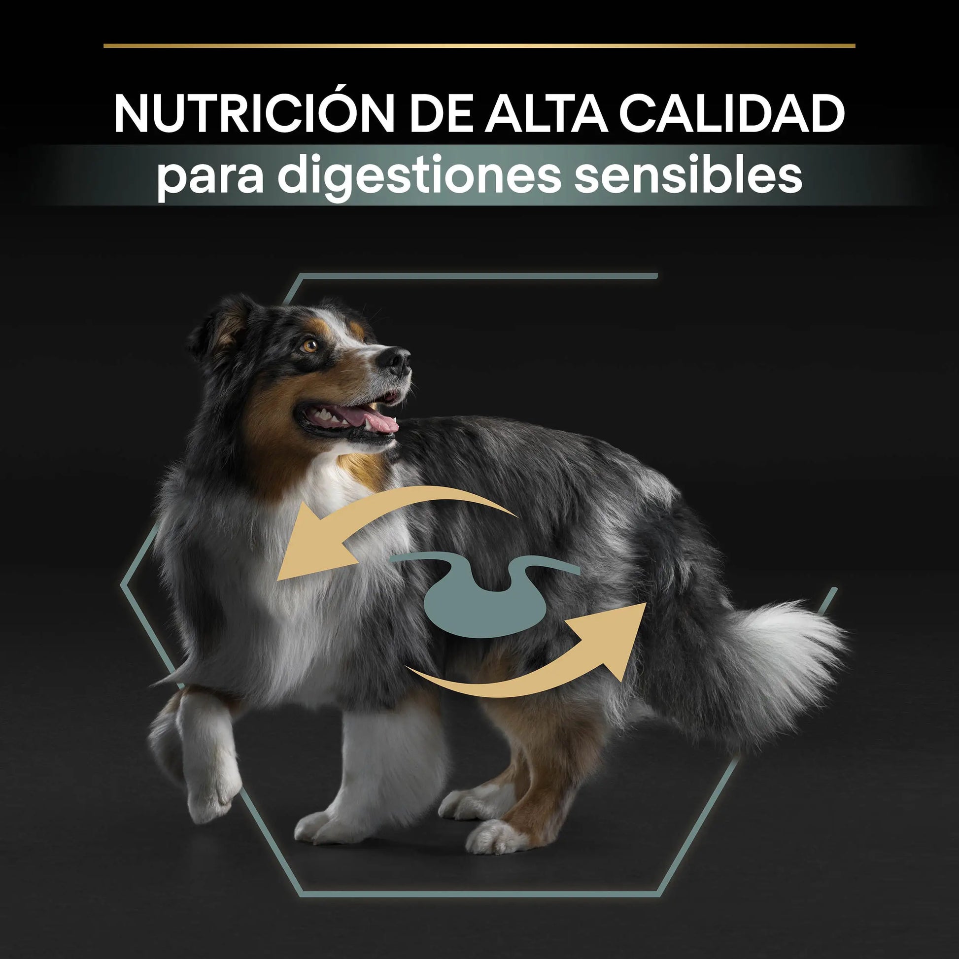 Pro Plan Dog Medium Adult Digest Cordero 3 kg PURINA
