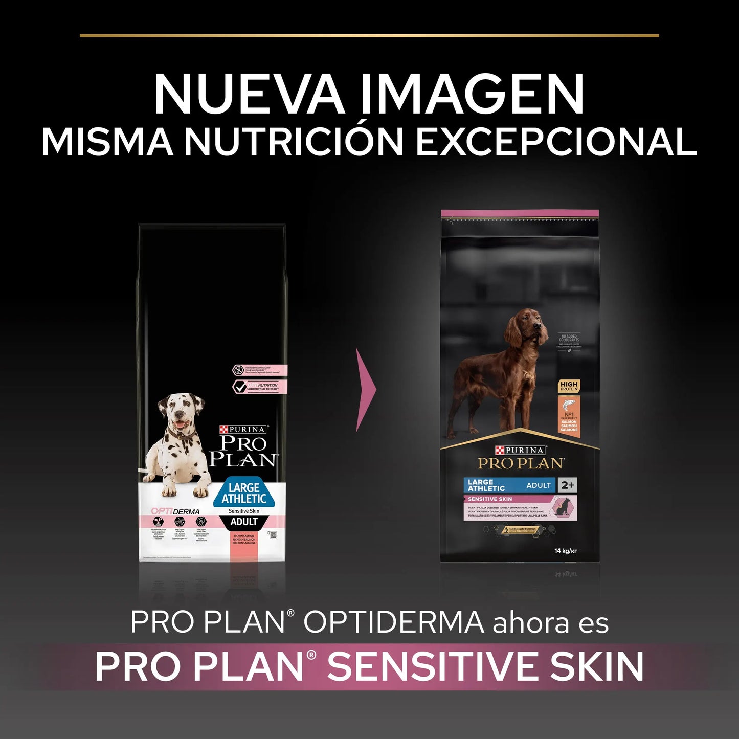 Pro Plan Dog Large Athletic Adult Skin Salmón 14 kg PURINA