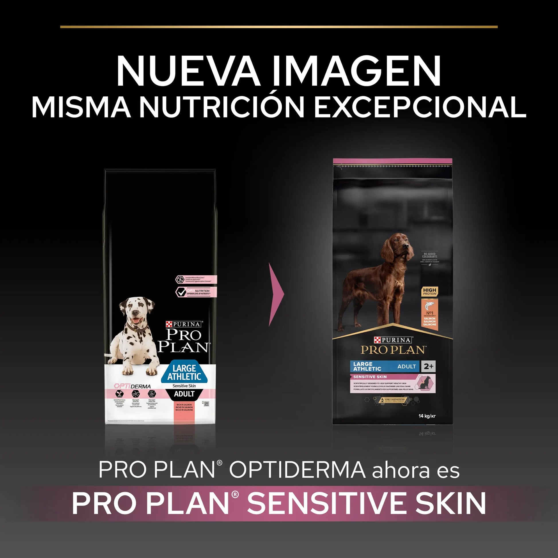 Pro Plan Dog Large Athletic Adult Skin Salmón 14 kg PURINA