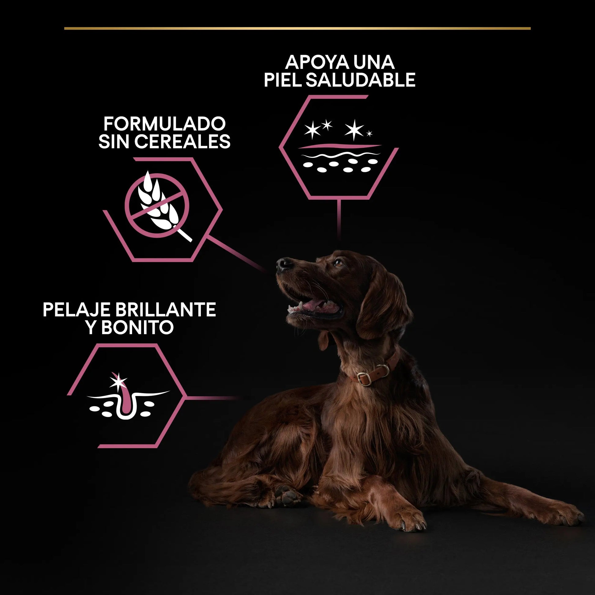 Pro Plan Dog Large Athletic Adult Skin Salmón 14 kg PURINA