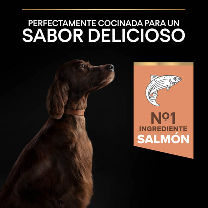 Pro Plan Dog Large Athletic Adult Skin Salmón 14 kg PURINA