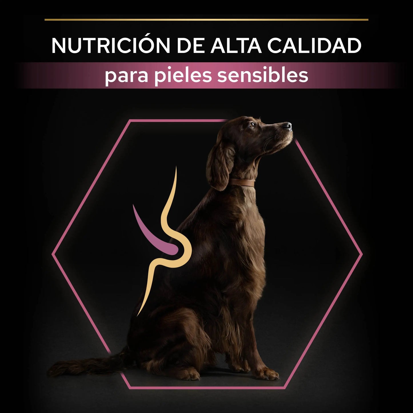 Pro Plan Dog Large Athletic Adult Skin Salmón 14 kg PURINA