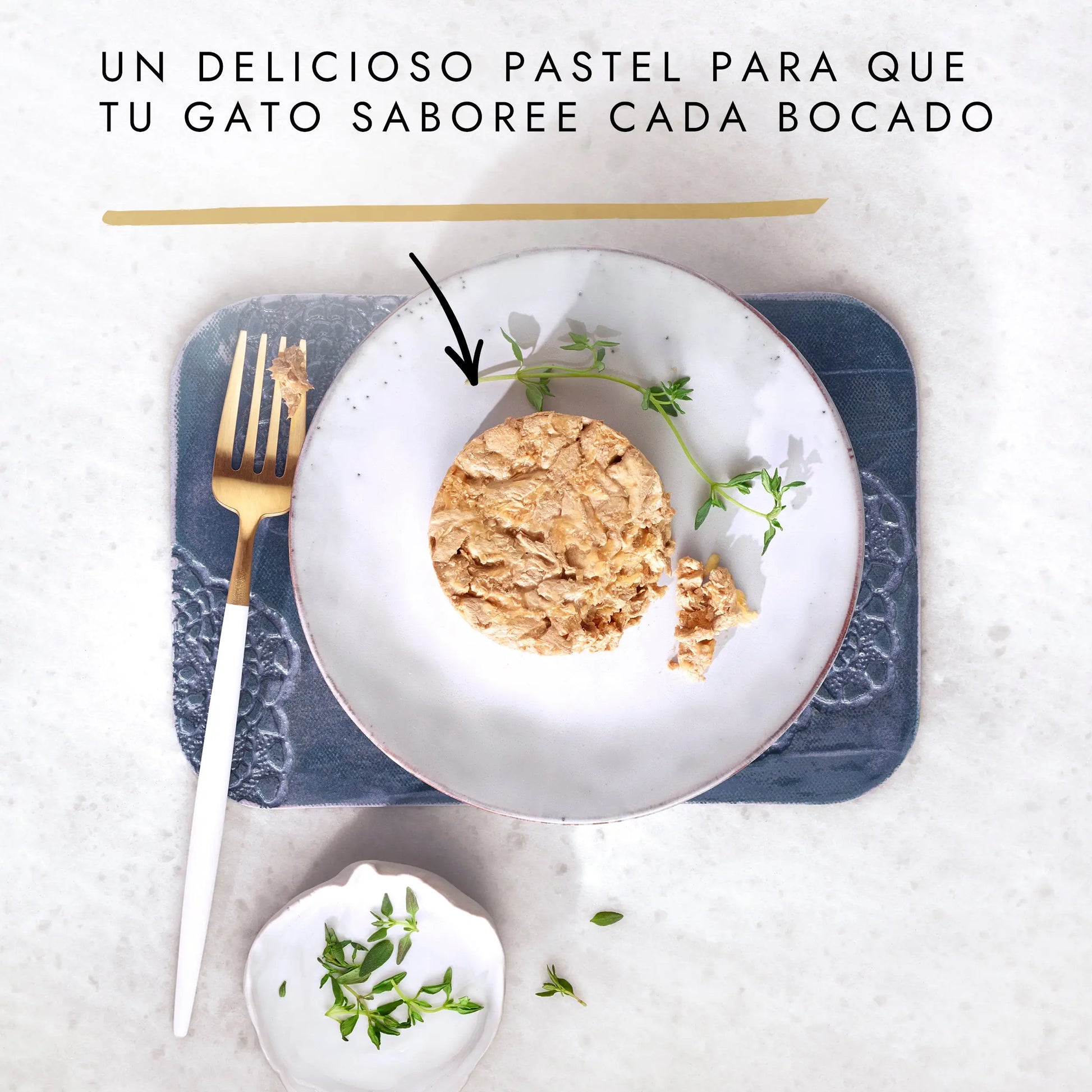 Gourmet Gold Tartalette Pollo y Zanahoria 85 g PURINA