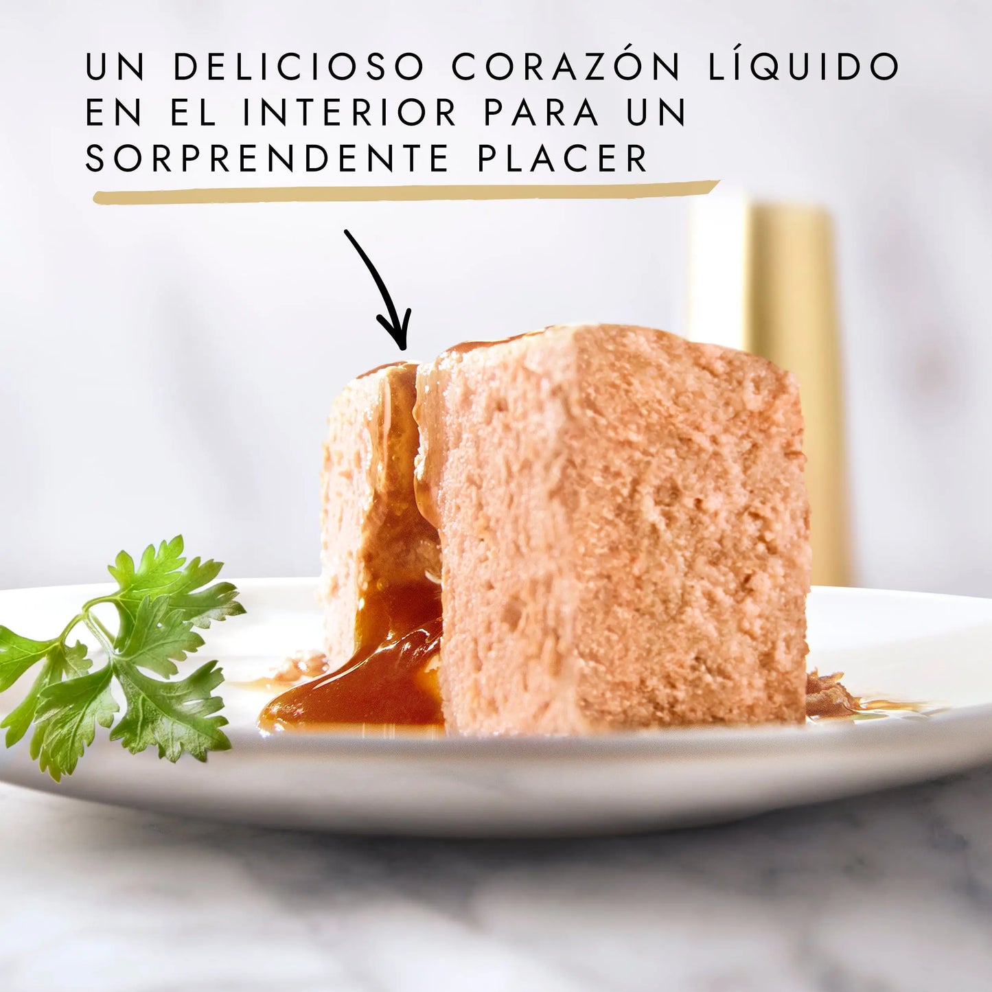 Gourmet Gold Fondant Pollo 85 g PURINA