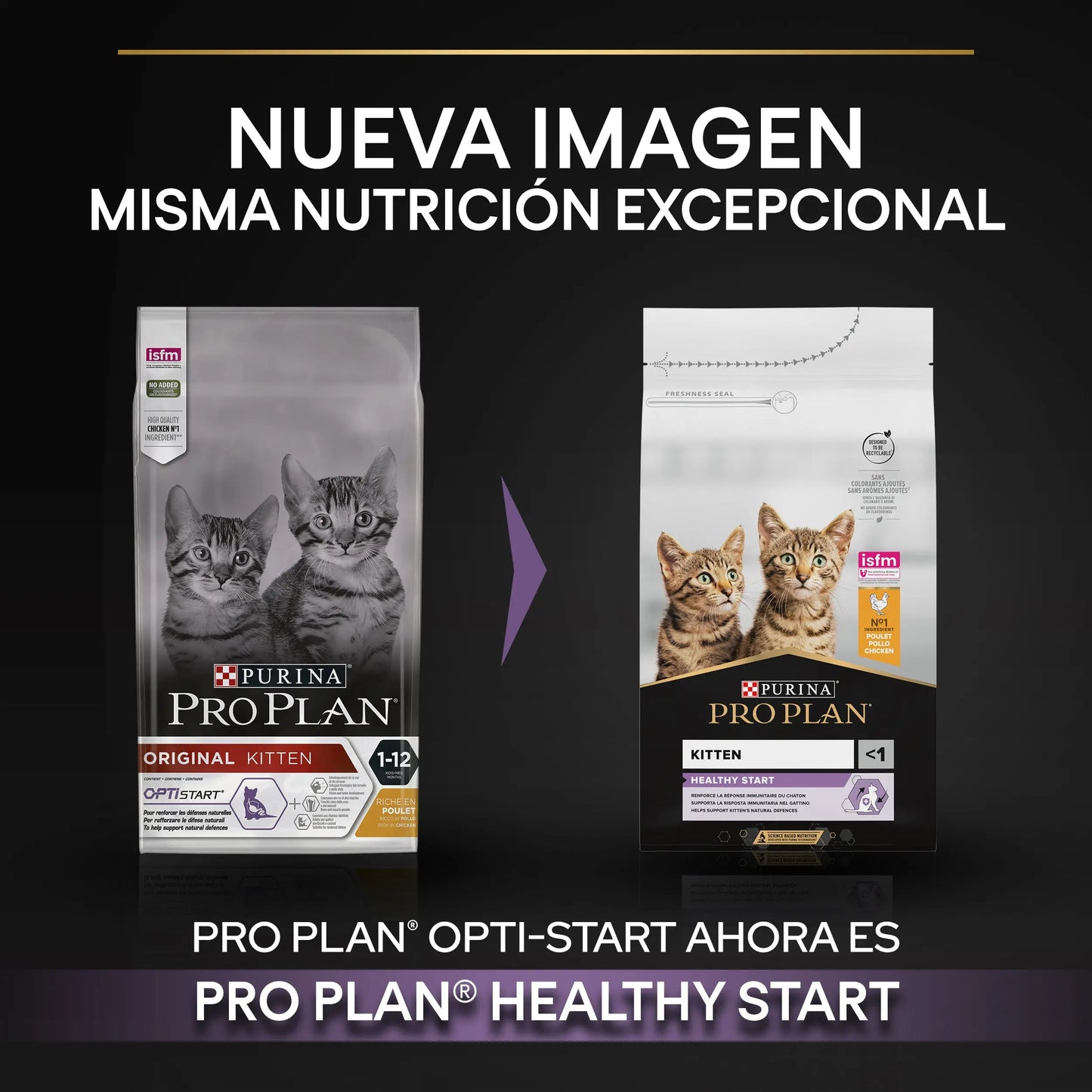Pro Plan Cat Kitten Start Pollo 3 kg PURINA
