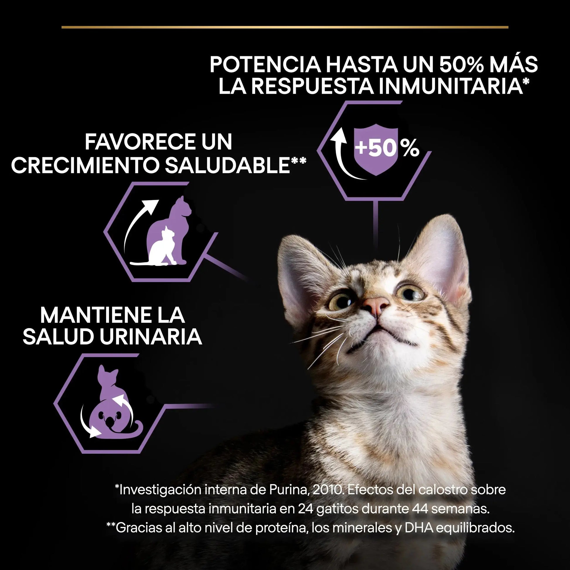 Pro Plan Cat Kitten Start Pollo Pienso para Gatitos PURINA