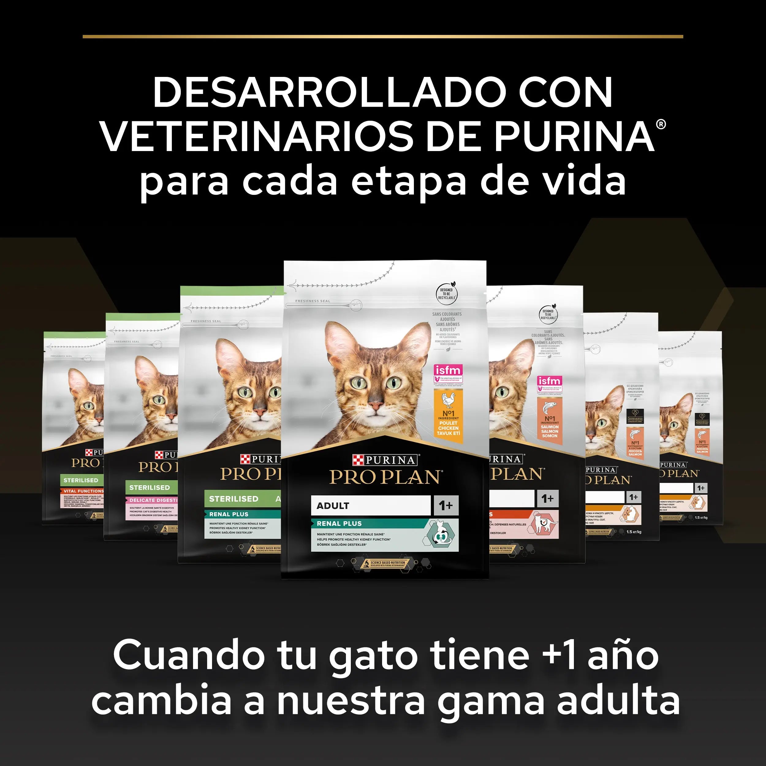 Pro Plan Cat Kitten Start Pollo Pienso para Gatitos PURINA