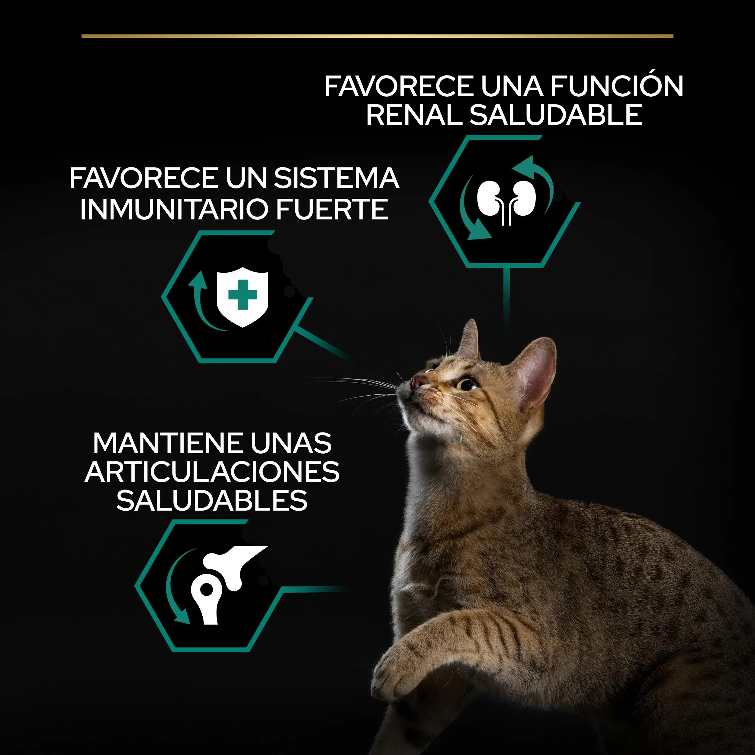 Pro Plan Cat Adult Renal+ Pollo 1,5 kg PURINA