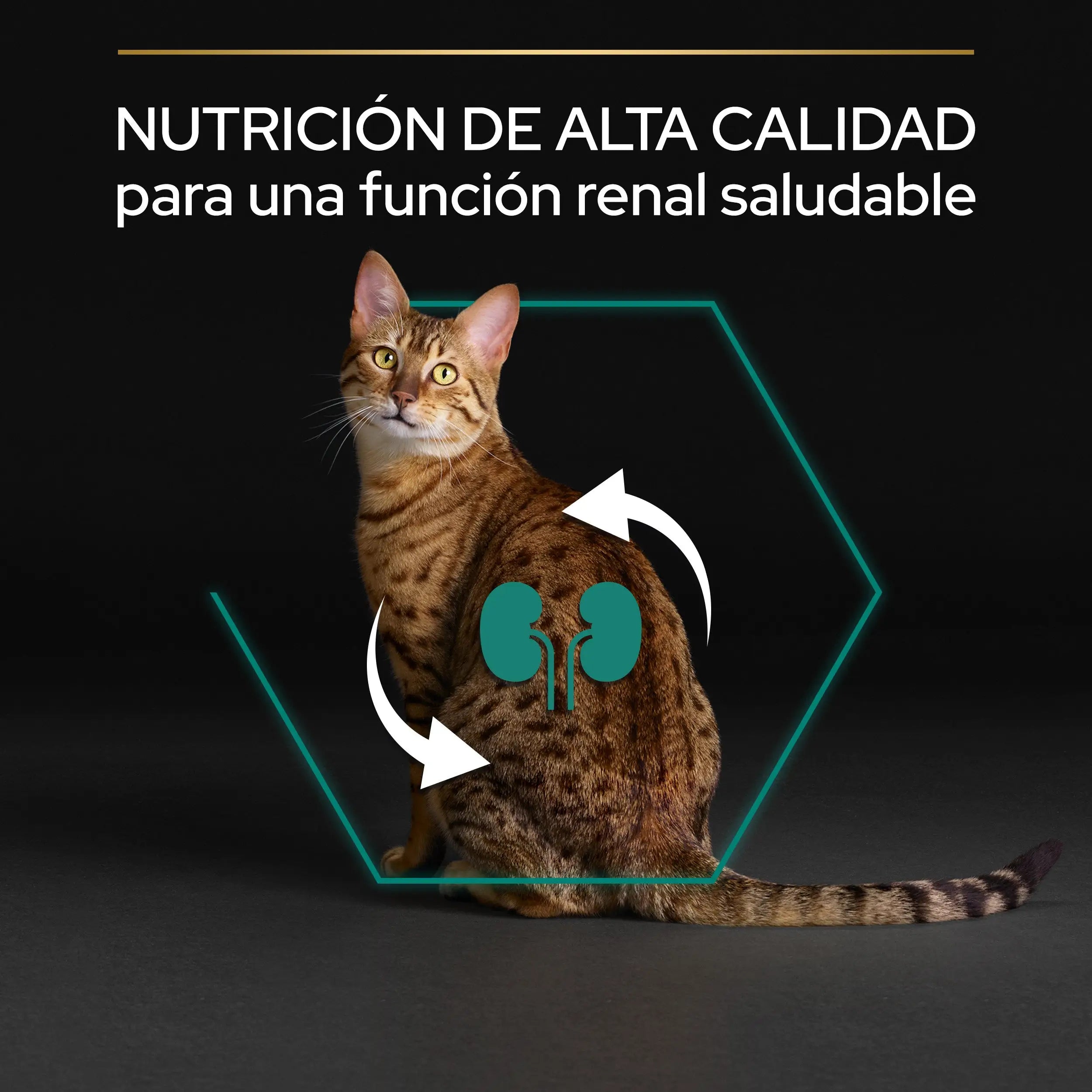 Pro Plan Cat Adult Renal+ Pollo 1,5 kg PURINA