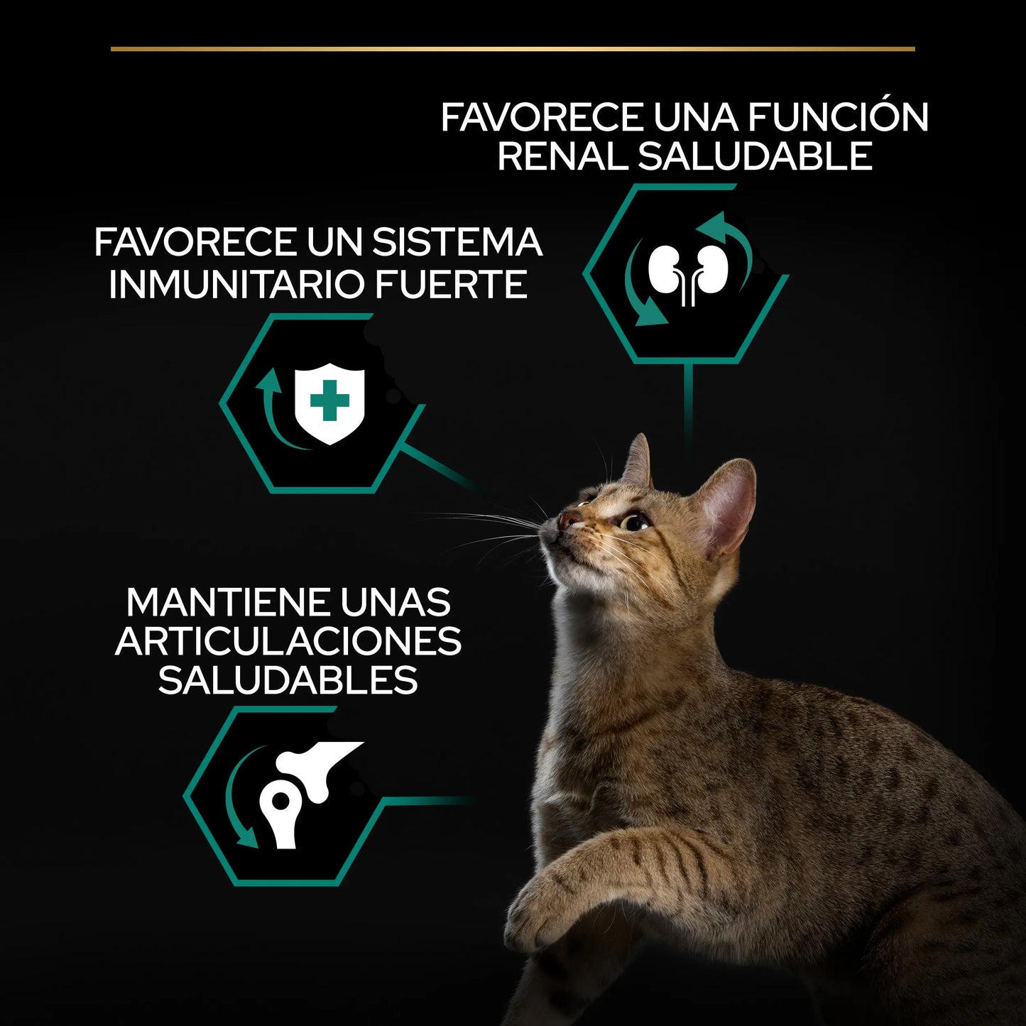 Pro Plan Cat Adult Renal+ Pollo 10 kg PURINA