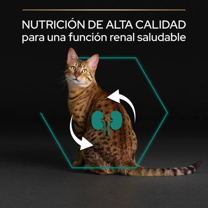 Pro Plan Cat Adult Renal+ Pollo 10 kg PURINA