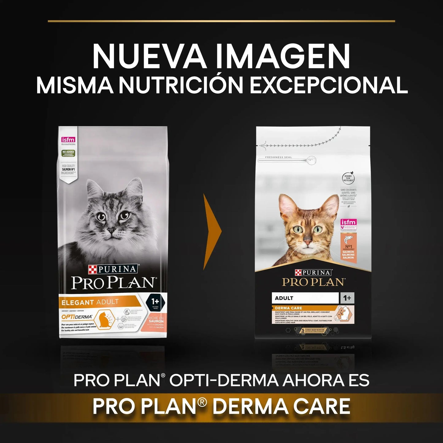 Pro Plan Cat Adult Derma Care Salmón 1,5 kg PURINA