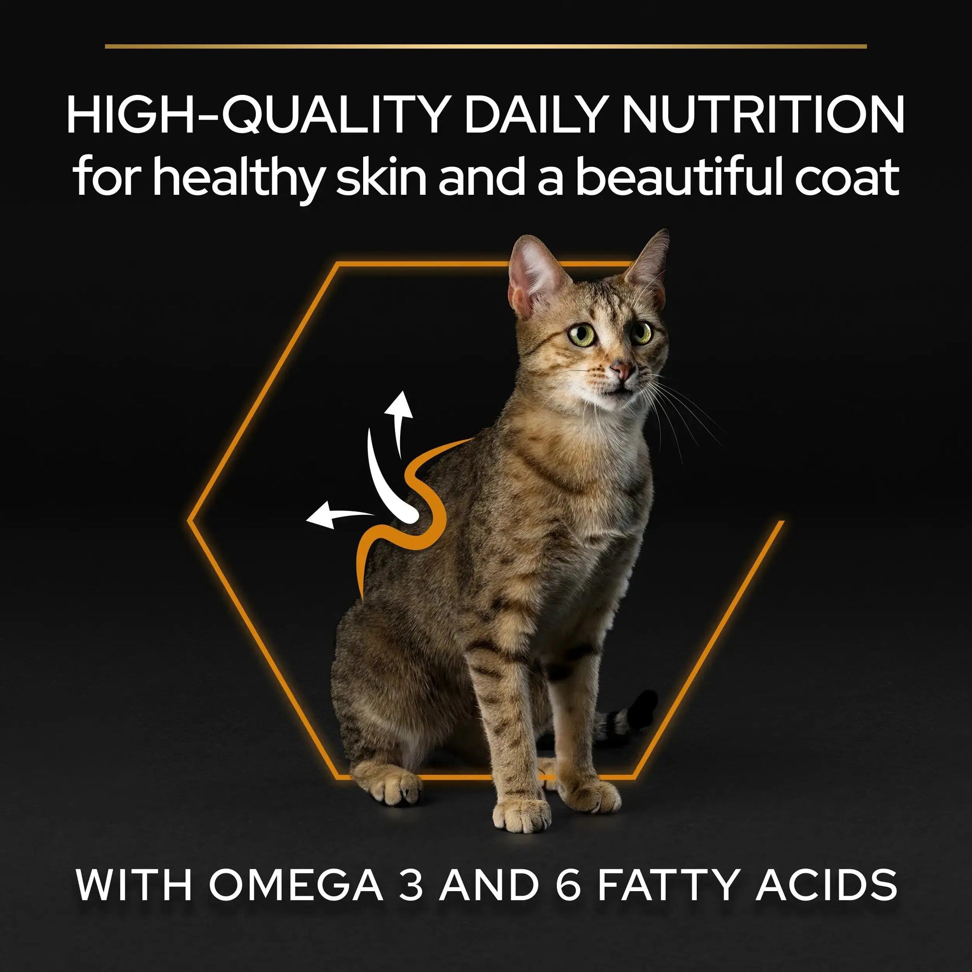 Pro Plan Cat Adult Derma Care Salmón 1,5 kg PURINA