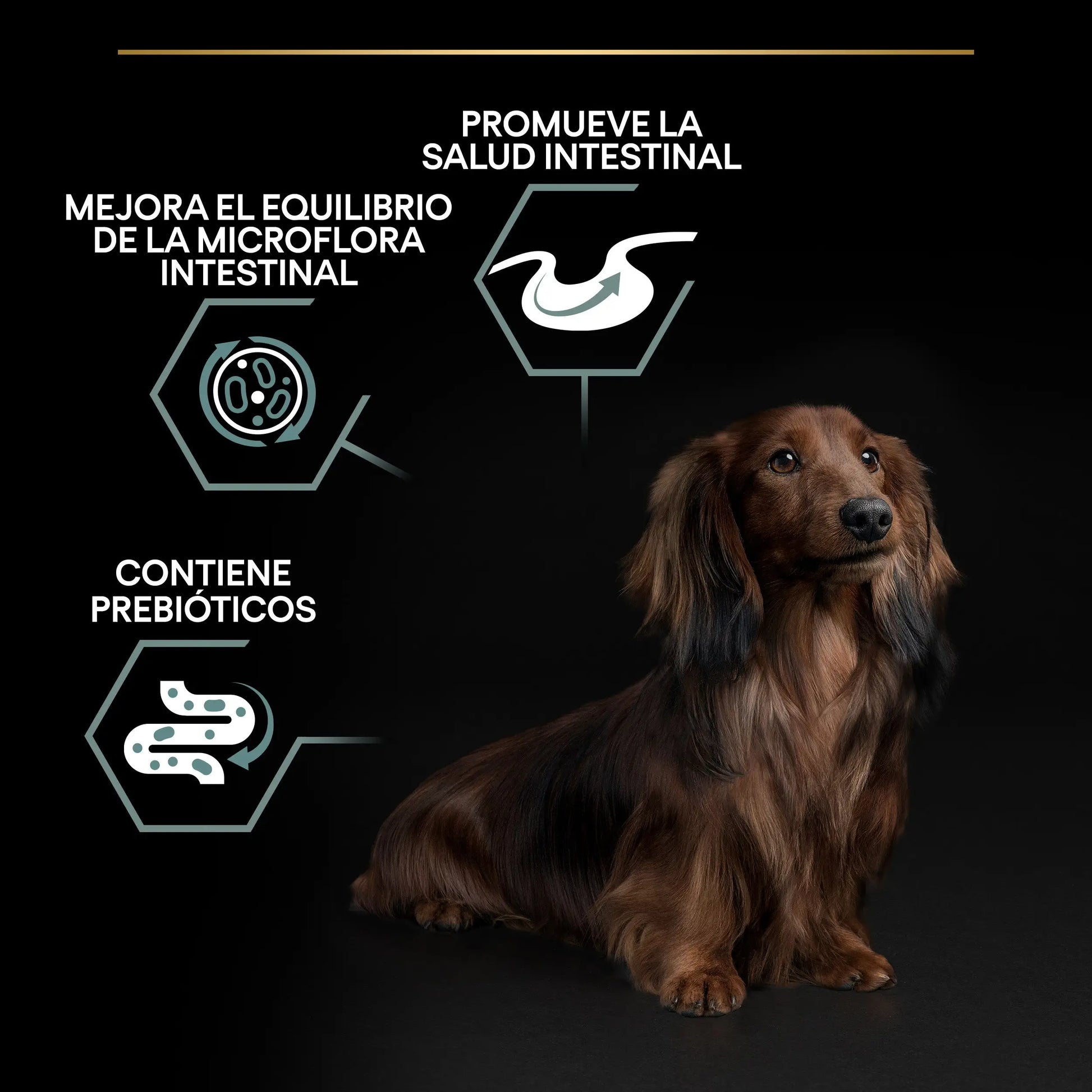 Pro Plan Dog Small y Mini Adult Digest Cordero Pienso para Perros PURINA