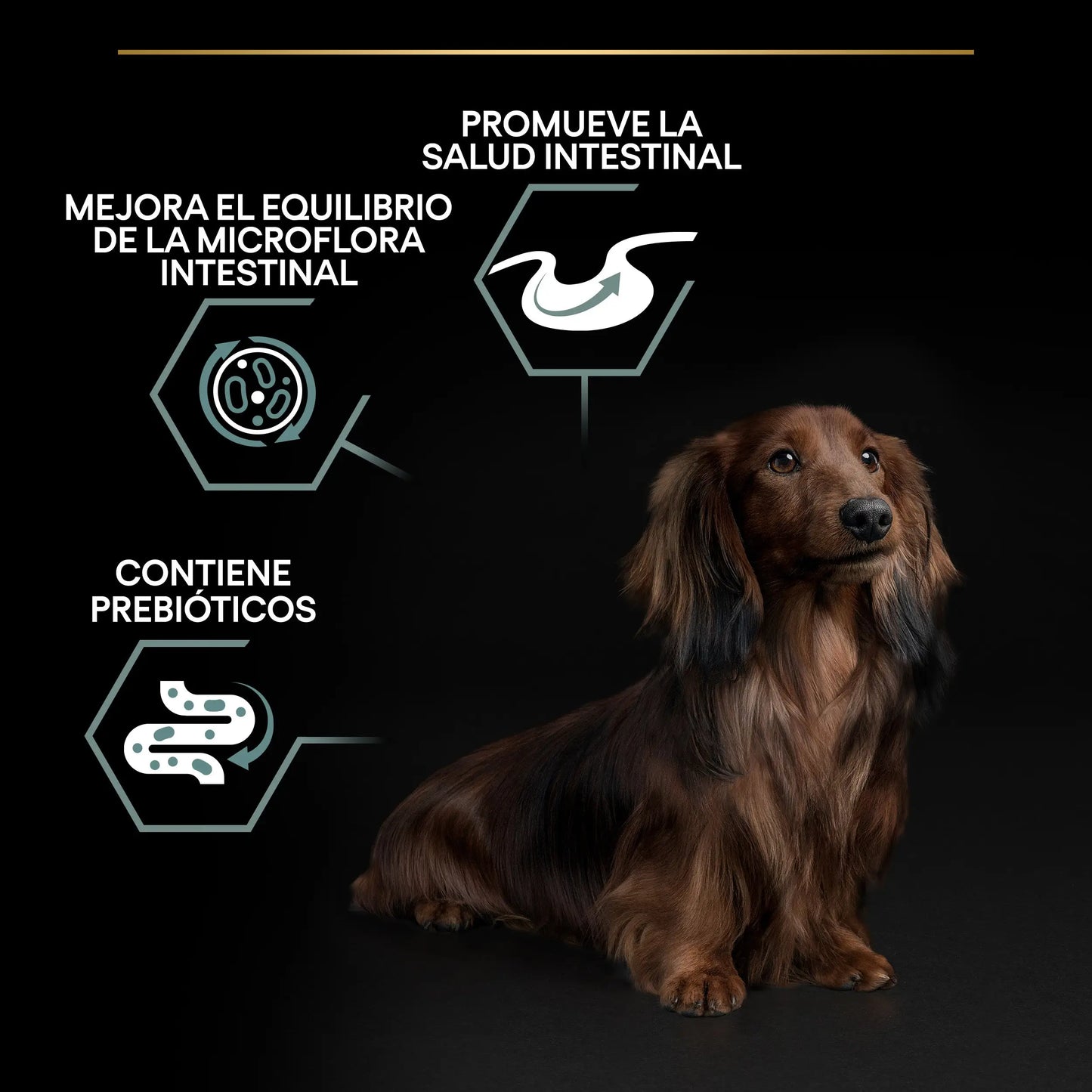Pro Plan Dog Small & Mini Adult Digest Cordero Pienso para Perros PURINA