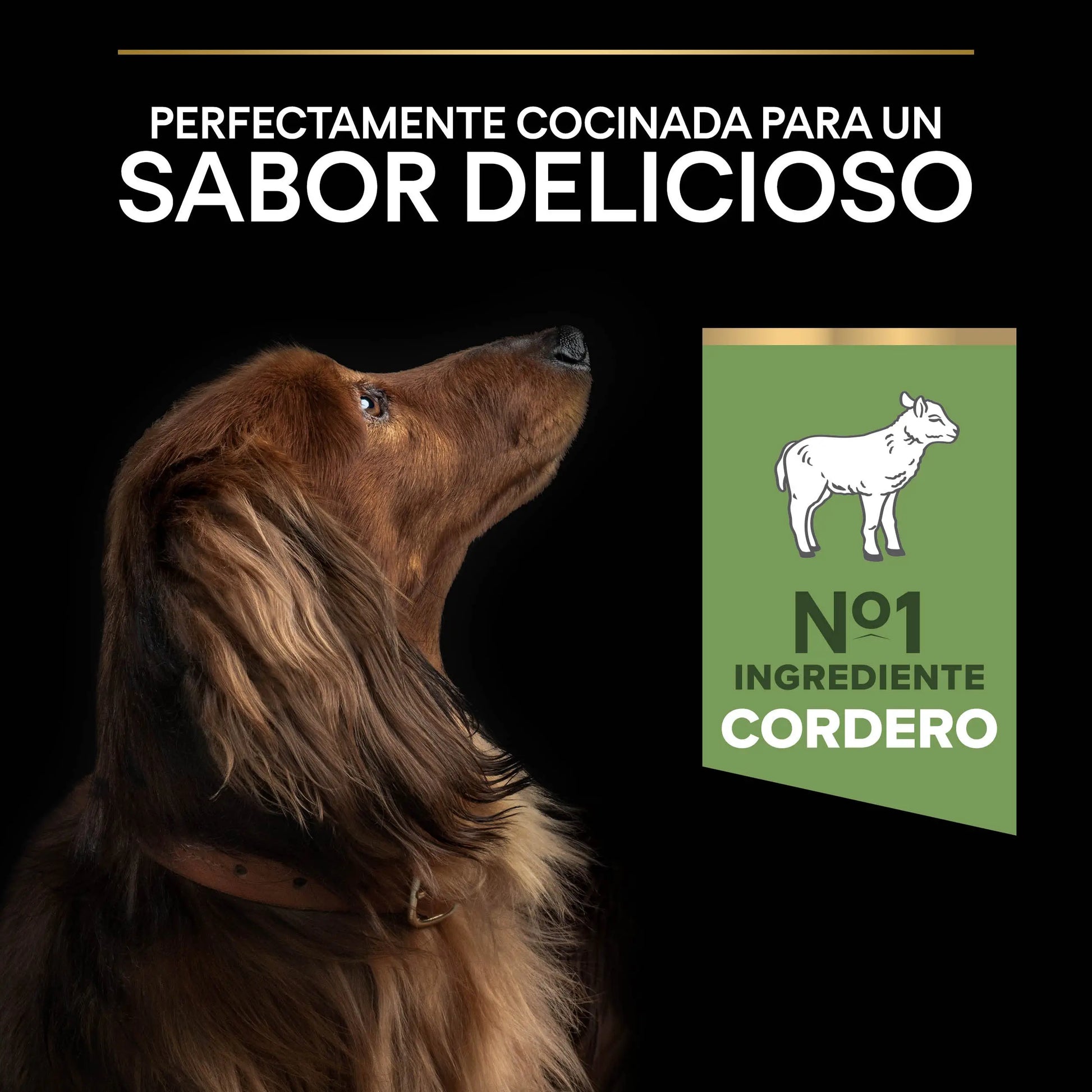 Pro Plan Dog Small & Mini Adult Digest Cordero Pienso para Perros PURINA