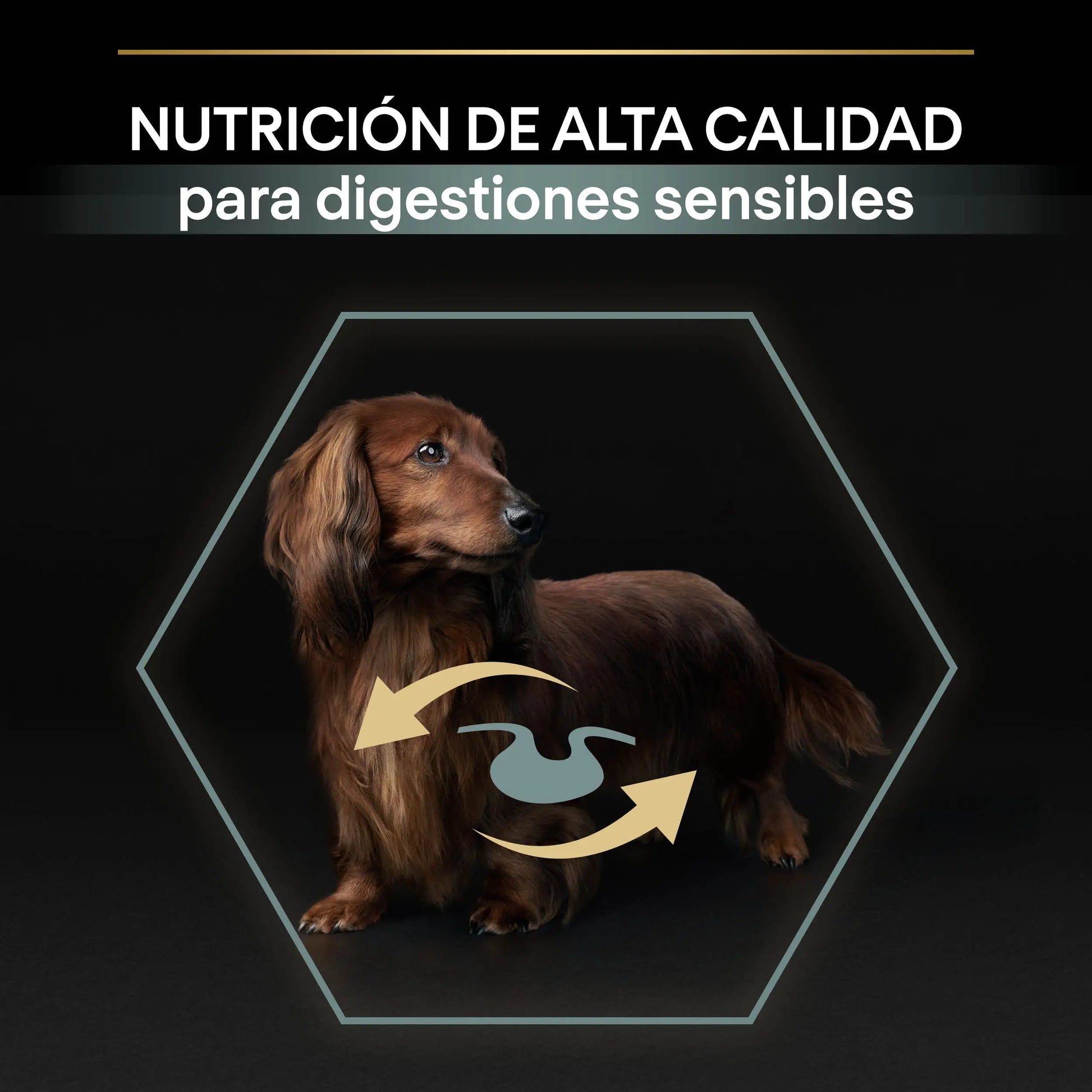 Pro Plan Dog Small & Mini Adult Digest Cordero Pienso para Perros PURINA