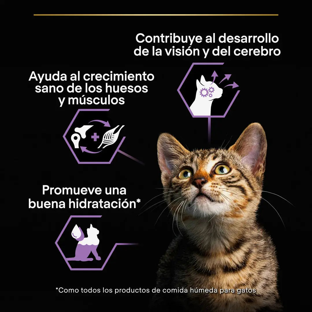Pro Plan Cat Lata Baby Kitten Pollo 85 g PURINA