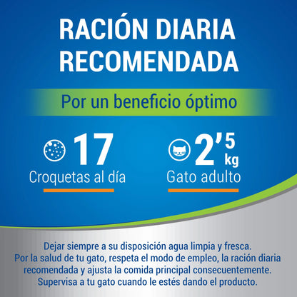 Dentalife Cat Pollo 40 g DENTALIFE