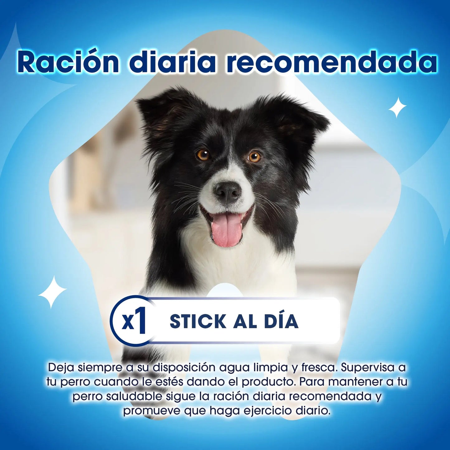 Dentalife Dog Medium 42 Sticks DENTALIFE