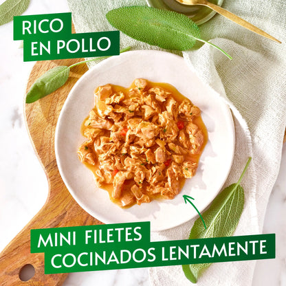 Gourmet Nature'S Creations Pollo y Tomate 85 g PURINA