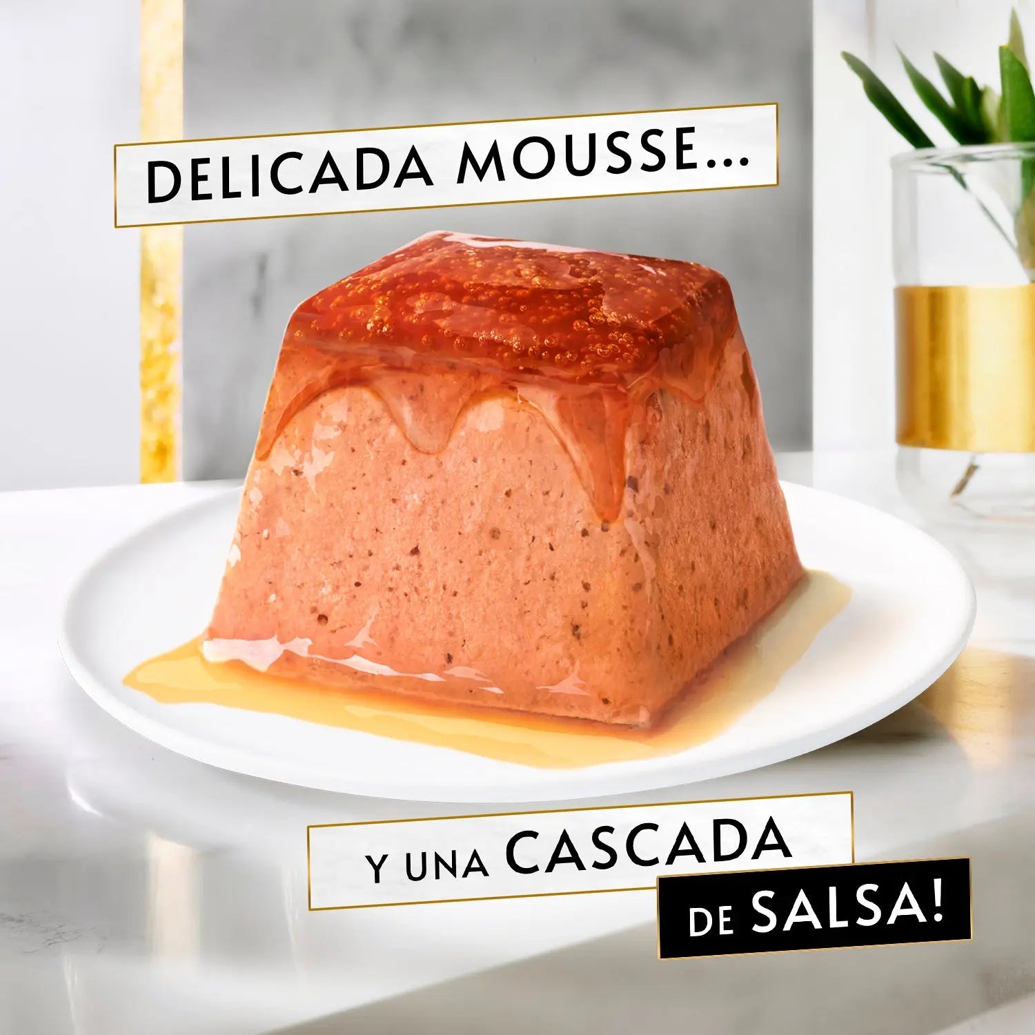 gourmet Revelations Mousse Pollo Pack 4x57 g PURINA