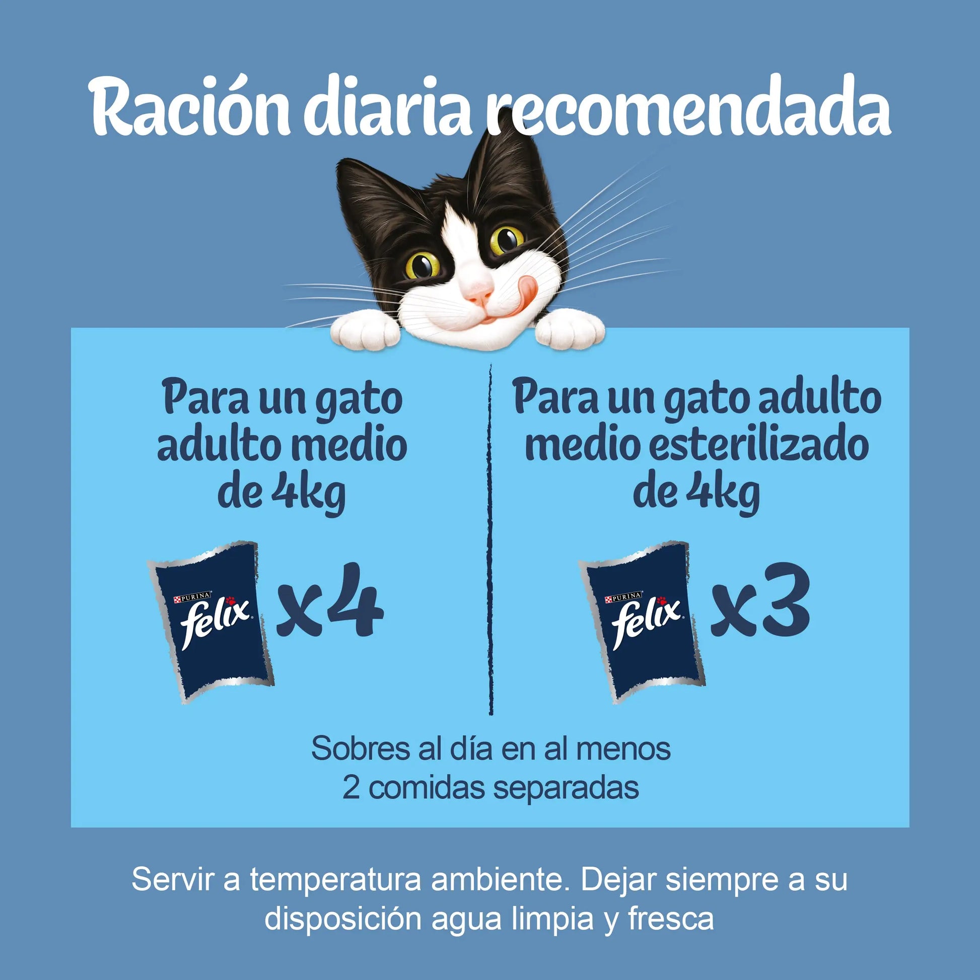 Felix Original Selección Carnes Pack 12X85 g FELIX