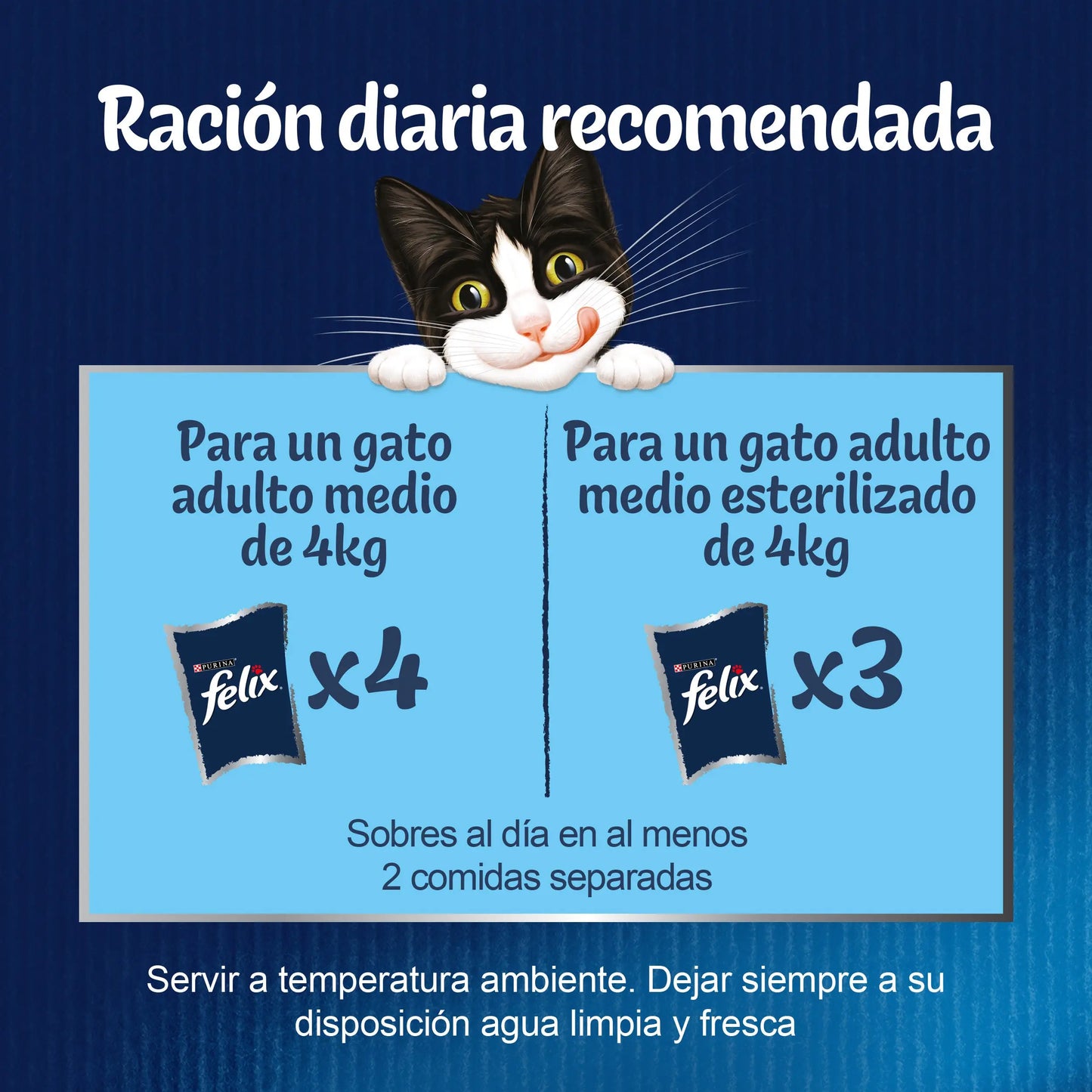 Felix Fantastic Surtido Gelatina Pack 12X85 g FELIX