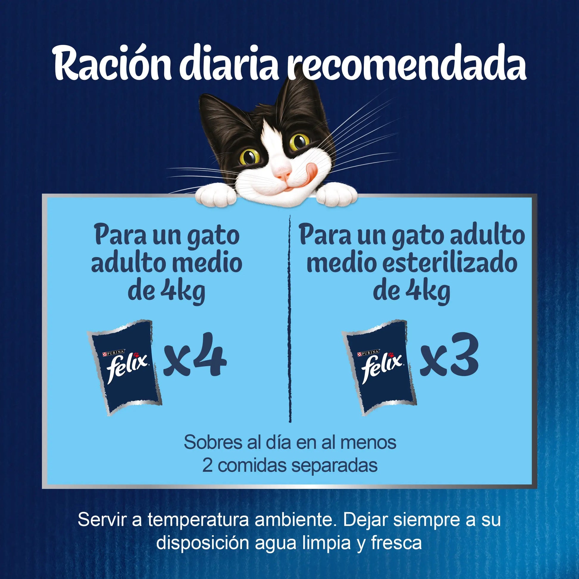Felix Fantastic Surtido Gelatina Pack 12X85 g FELIX
