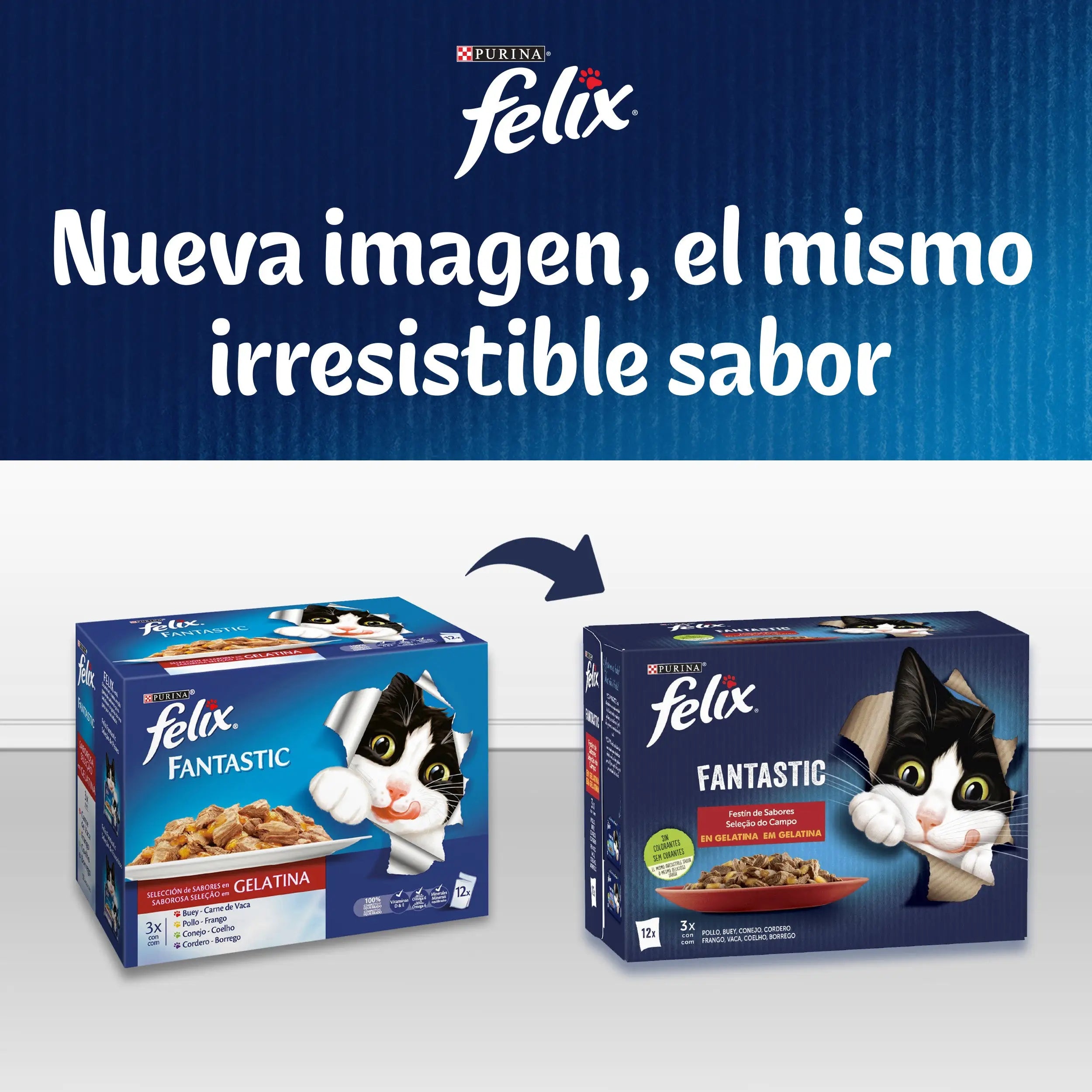 Felix Fantastic Surtido Gelatina Pack 12X85 g FELIX