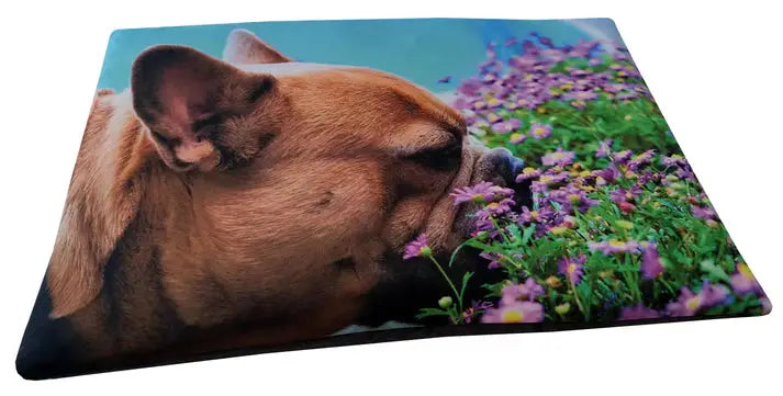Colchoneta De Fibra Modelo Foto Ref.345 70X110Cm Gamarq - Mejor Precio - Mascotas Ávila