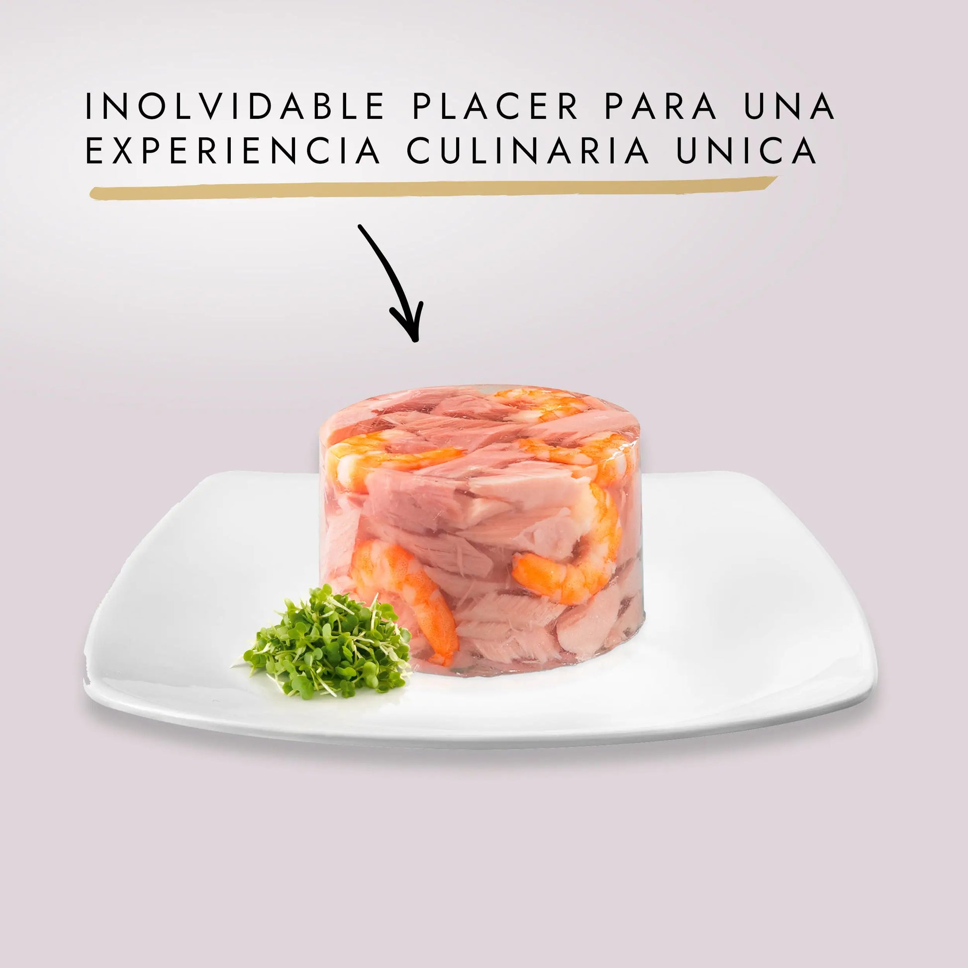 Gourmet Diamant Pollo 85 g PURINA