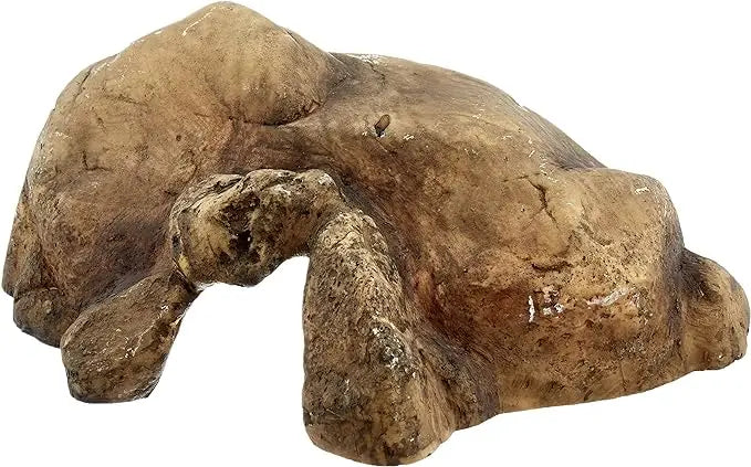 Cueva Hiding Grande Exo Terra - Mejor Precio - Mascotas Ávila