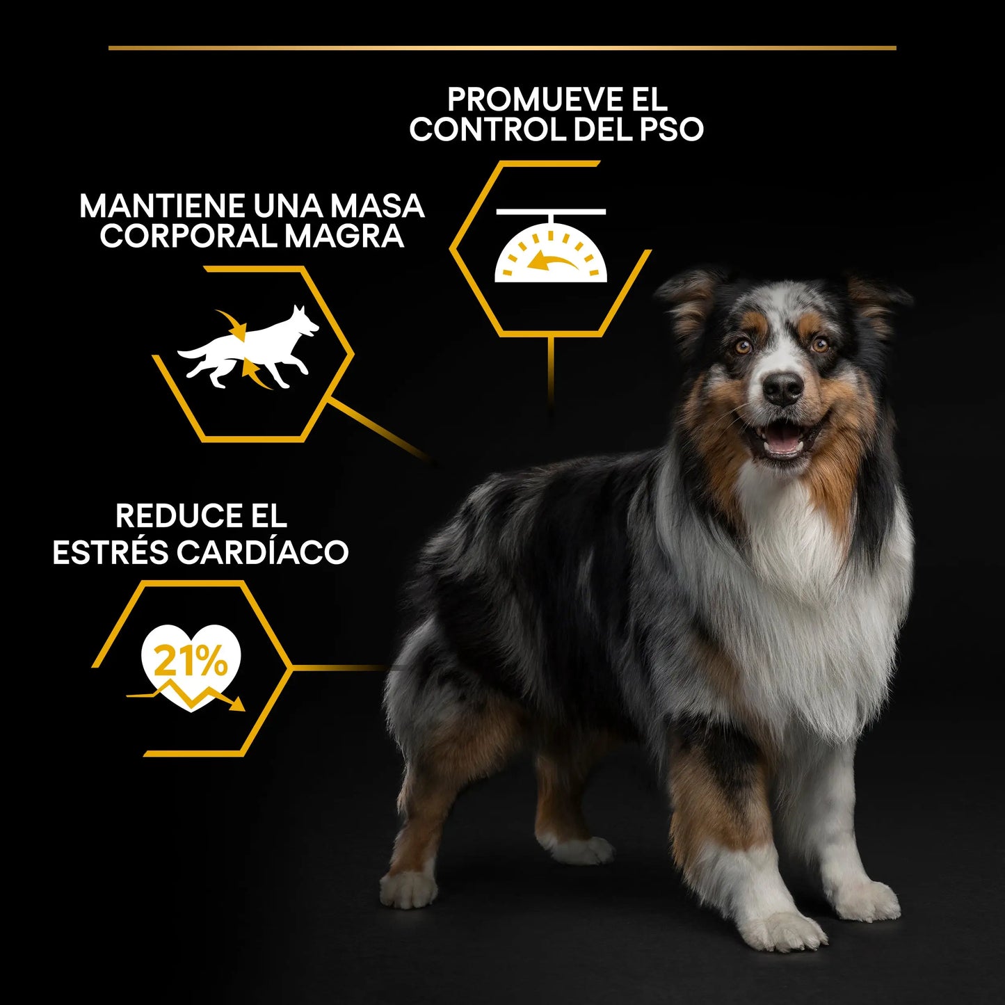 Pro Plan Dog Allsize Light Sterilized Pescado 3 kg PURINA