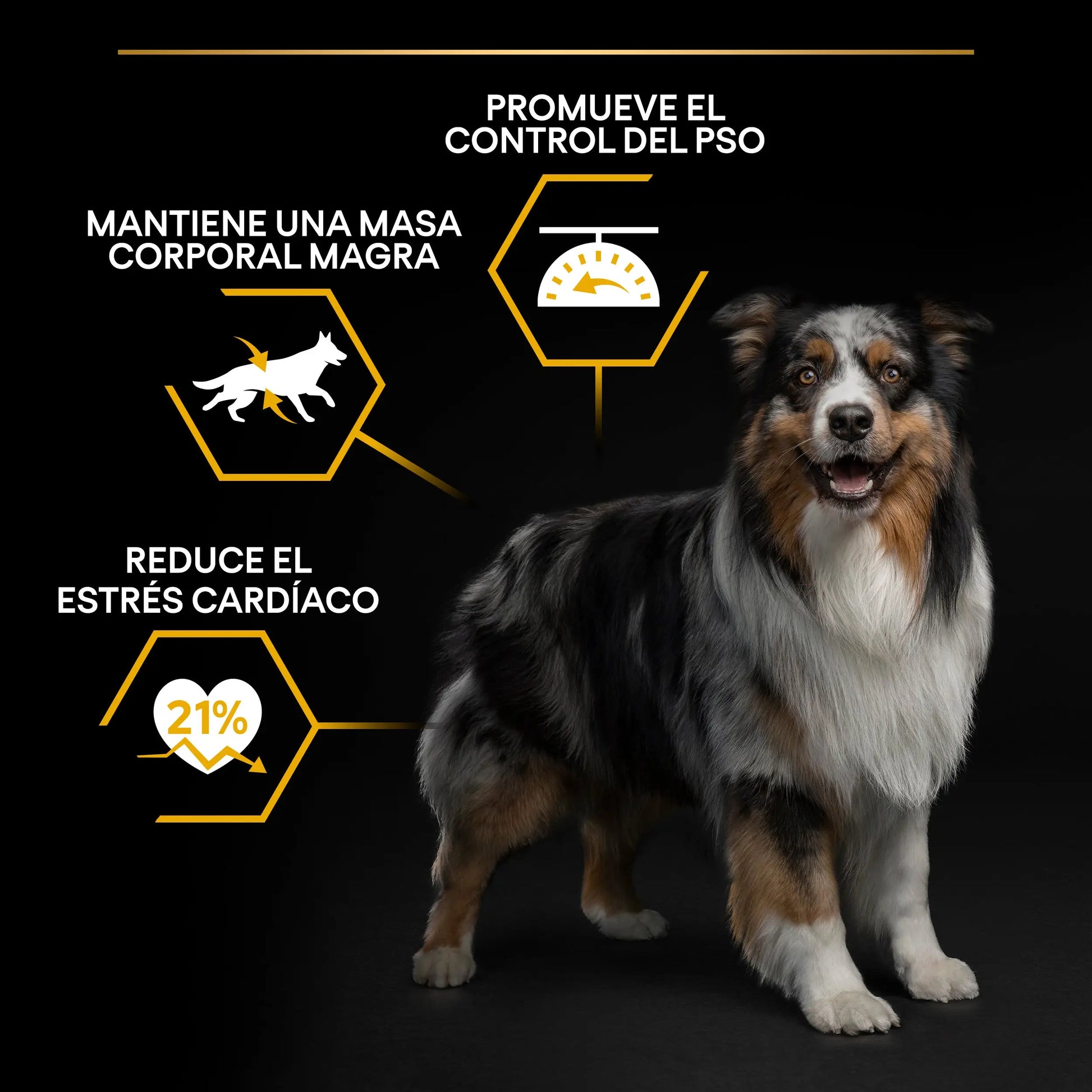 Pro Plan Dog Allsize Light Sterilized Pescado 3 kg PURINA