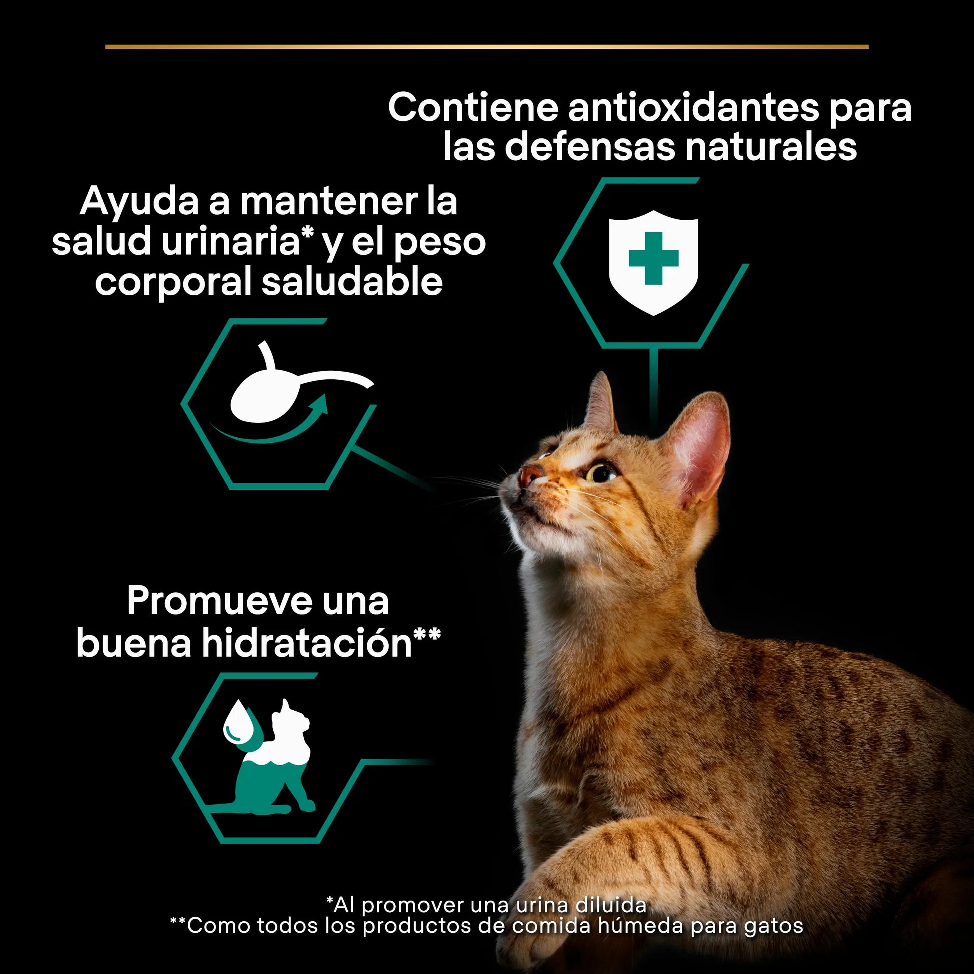 Pro Plan Cat Sobre Sterilised Buey y Pollo Pack 10x85 g PURINA
