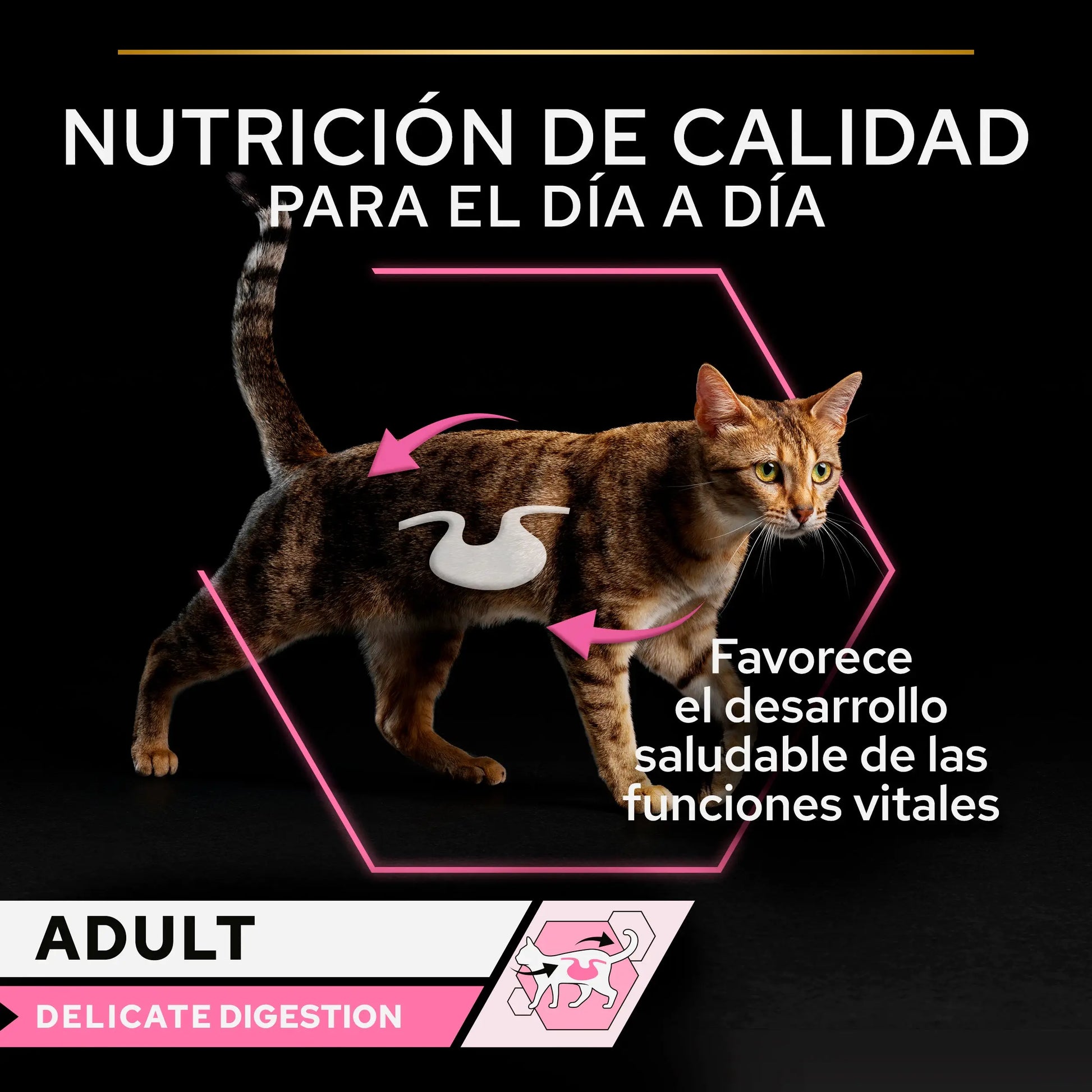 Pro Plan Cat Sobre Delicate Pescado y Pavo Pack 10X85 g PURINA