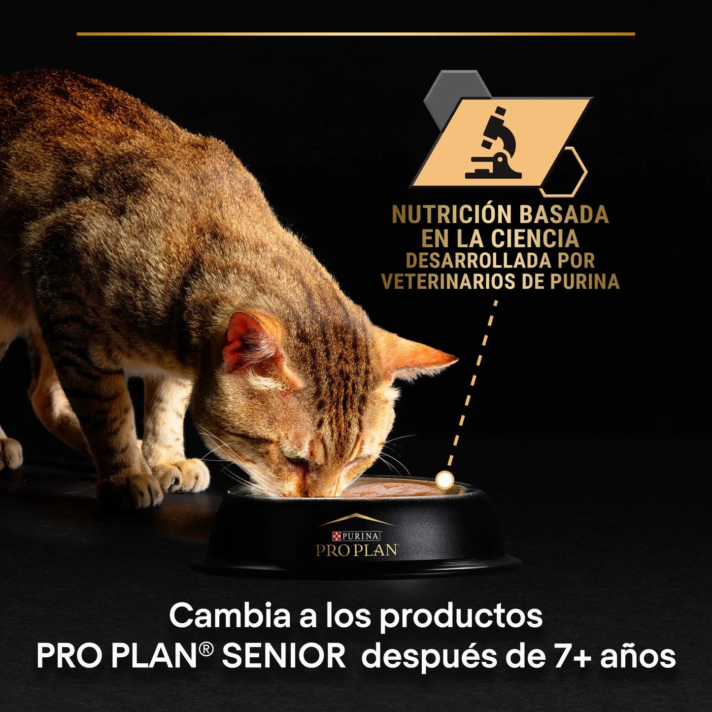 Pro Plan Cat Sobre Delicate Pescado y Pavo Pack 10X85 g PURINA