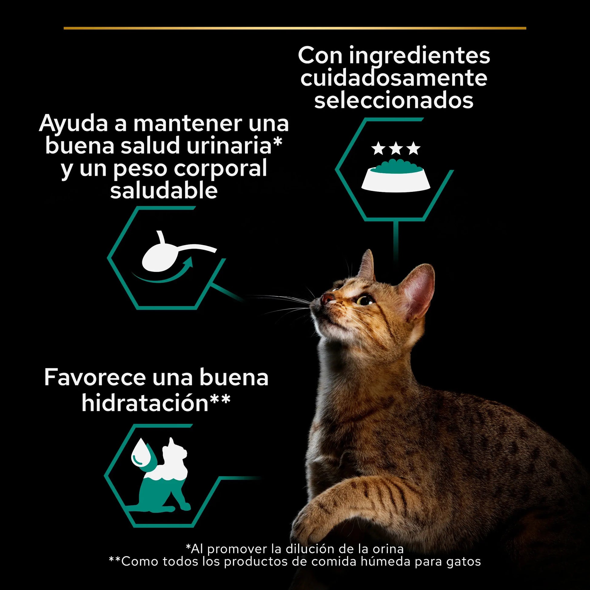 Pro Plan Cat Sterilised Salmón y Atún Pack 12X85 g PURINA