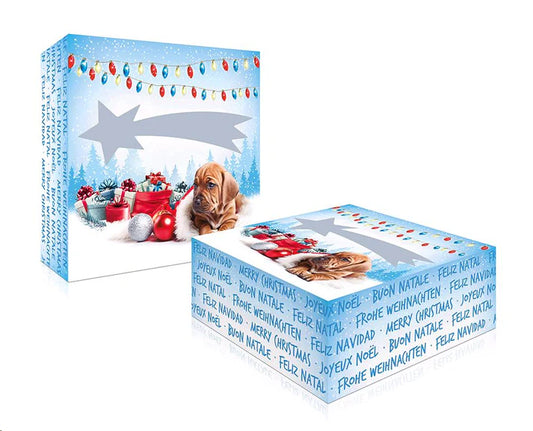 Caja Regalo Navidad Para Perros