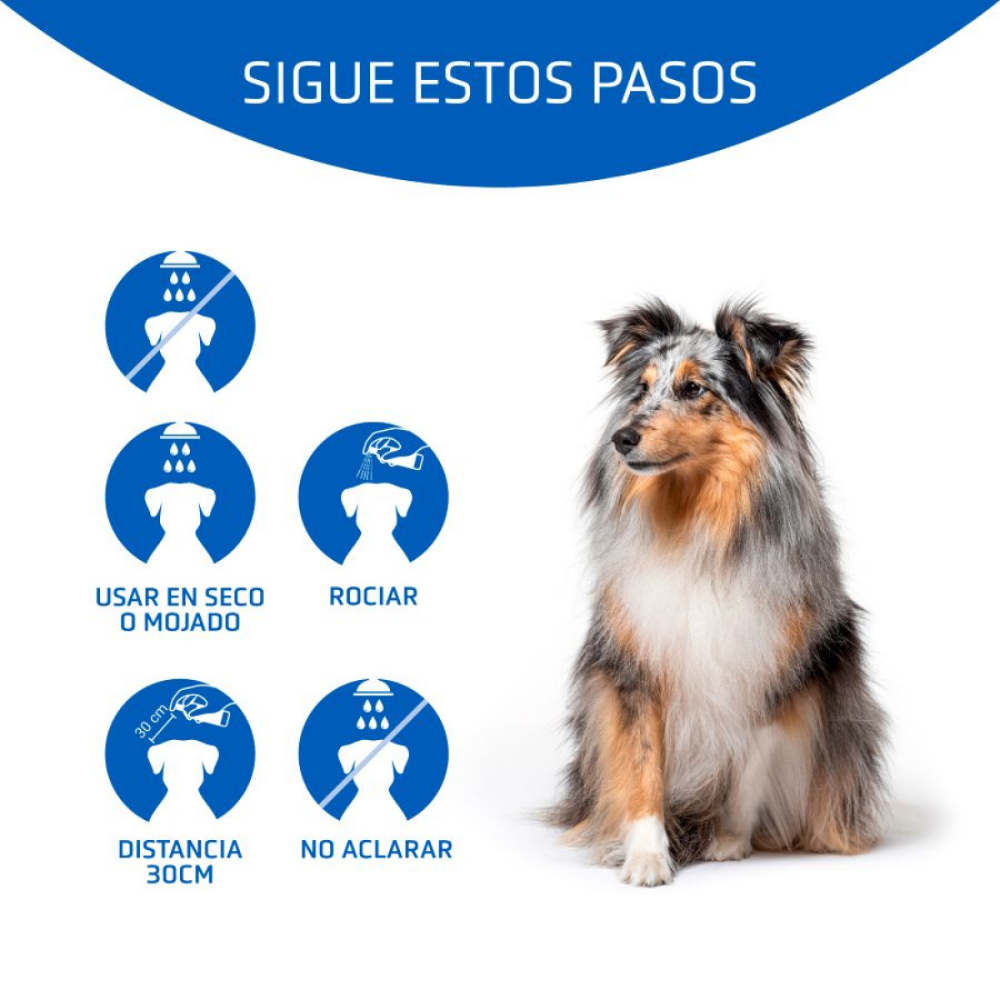 Acondicionador Matt-X 300 ml Artero ARTERO Mascotas-Ávila
