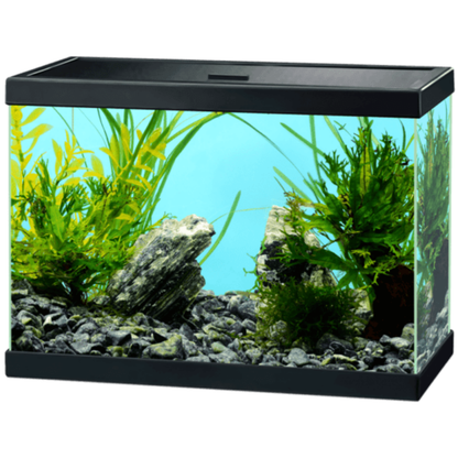 Acuario Aqua 15 Ciano 35X17,5X24,8 cm 13L. CIANO Mascotas-Ávila