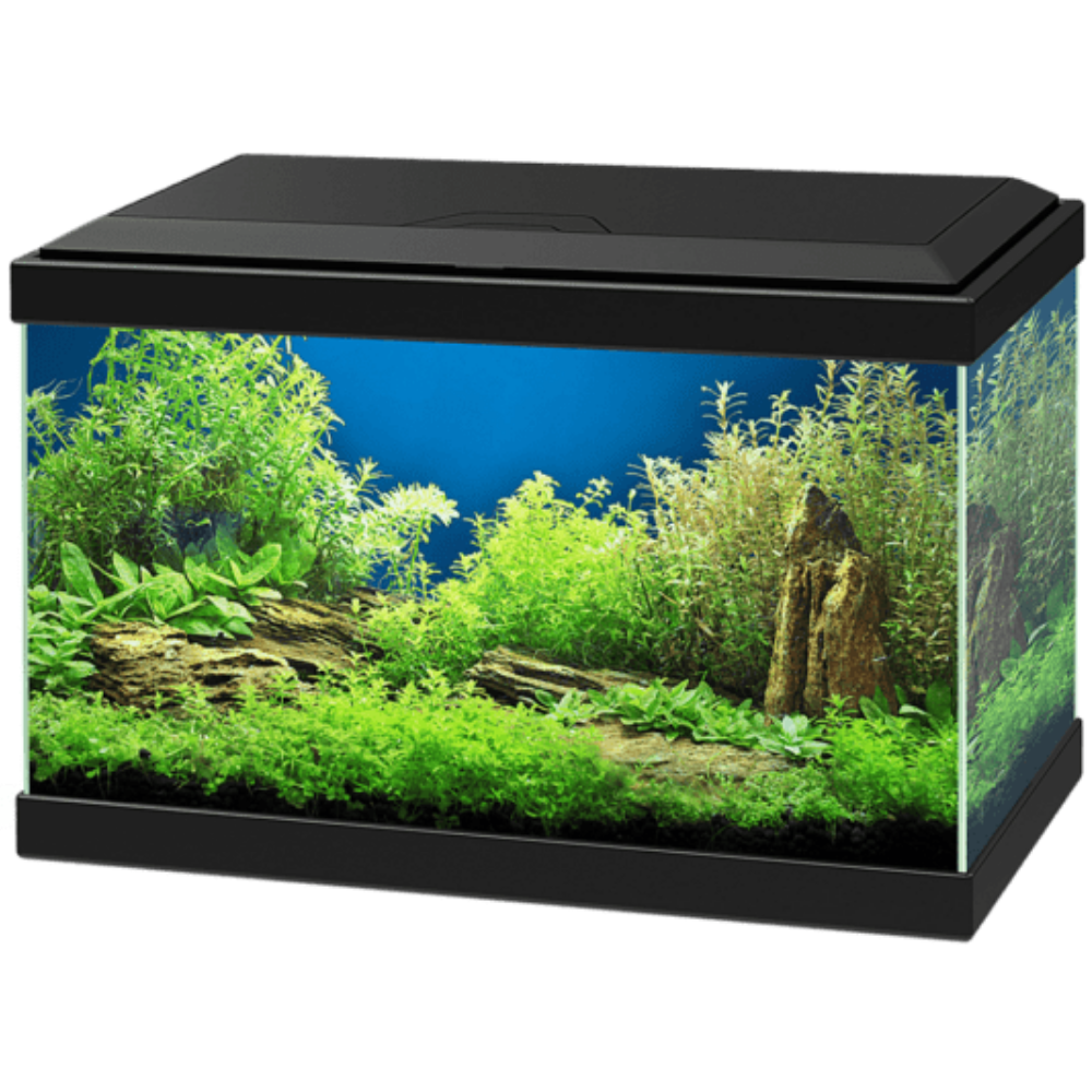 Acuario Aqua 20 Light Led Ciano CIANO Mascotas-Ávila