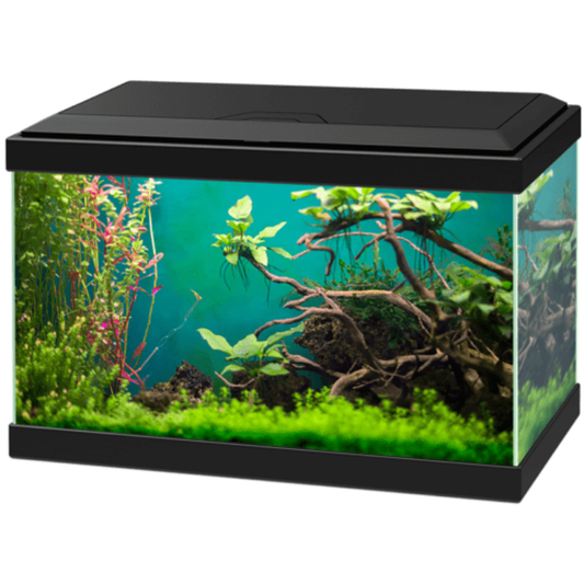 Acuario Aqua 20 Light Sin Pantalla de Ciano CIANO Mascotas-Ávila