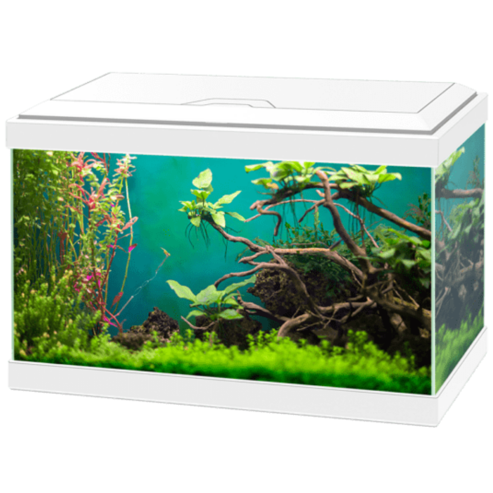 Acuario Aqua 20 Light Sin Pantalla de Ciano CIANO Mascotas-Ávila