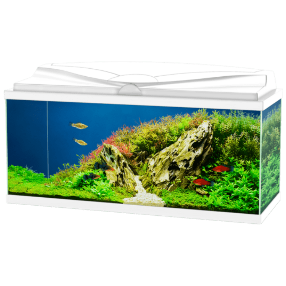 Acuario Aqua 80 Light Negro Ciano 80x30x41,5cm 71L CIANO Mascotas-Ávila