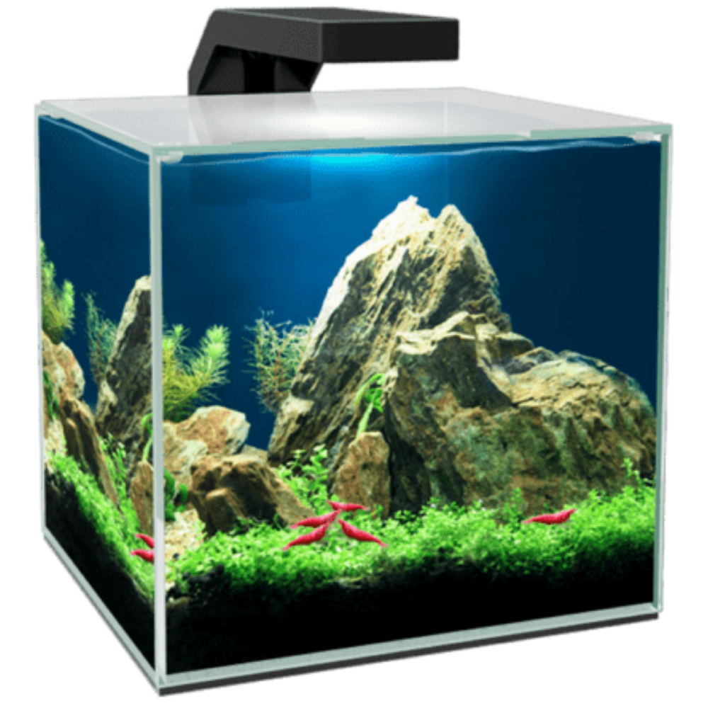 Acuario Cube Aqua 5L Led Ciano CIANO Mascotas-Ávila