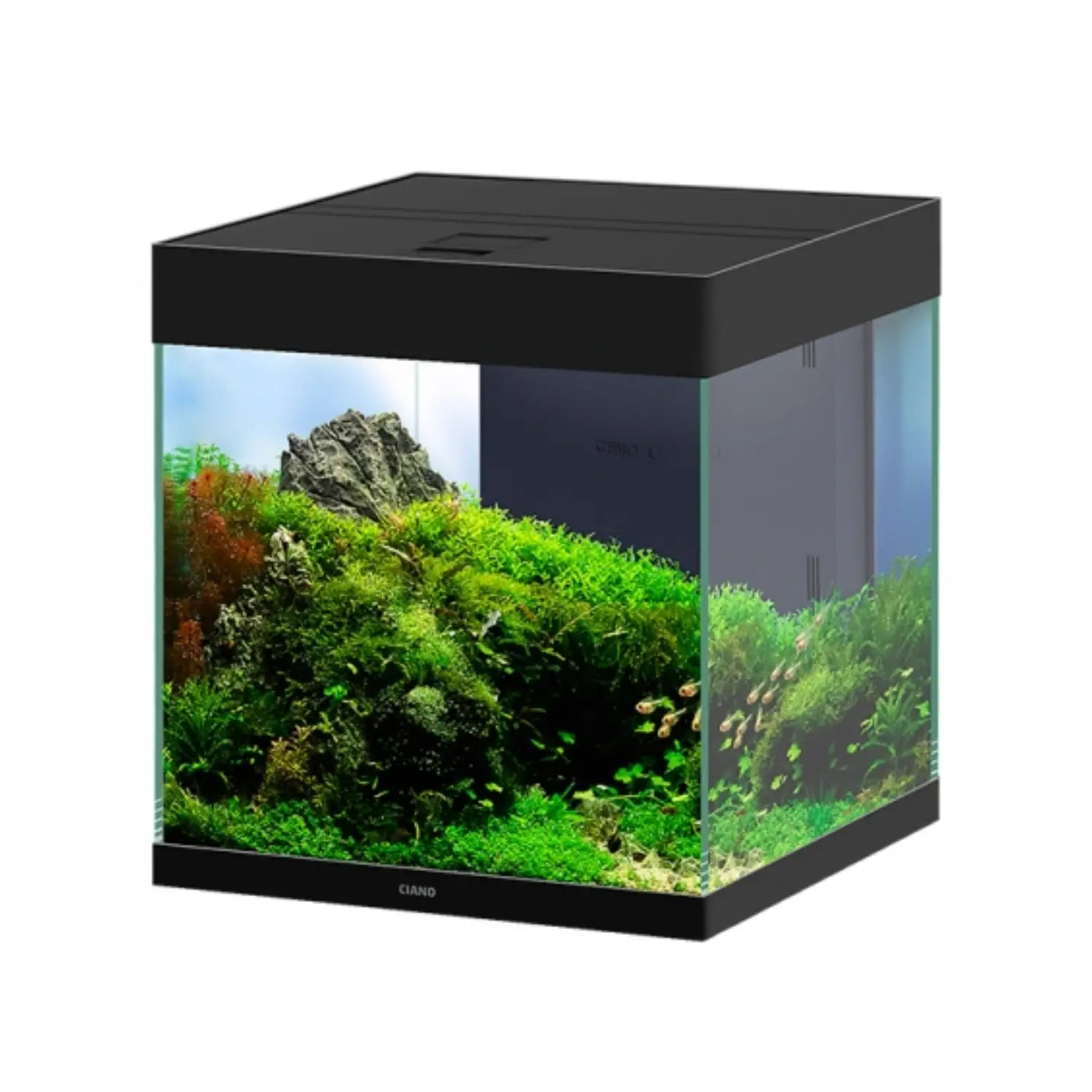 Acuario Emotions PRO 40 39,8x39,8x43cm 52L - Mejor Precio - Mascotas Ávila