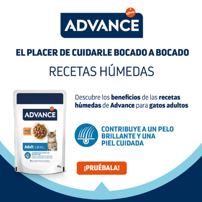 Advance Cat Bocaditos en Salsa para Gatos Adultos con Pollo - 85 g ADVANCE Mascotas-Ávila