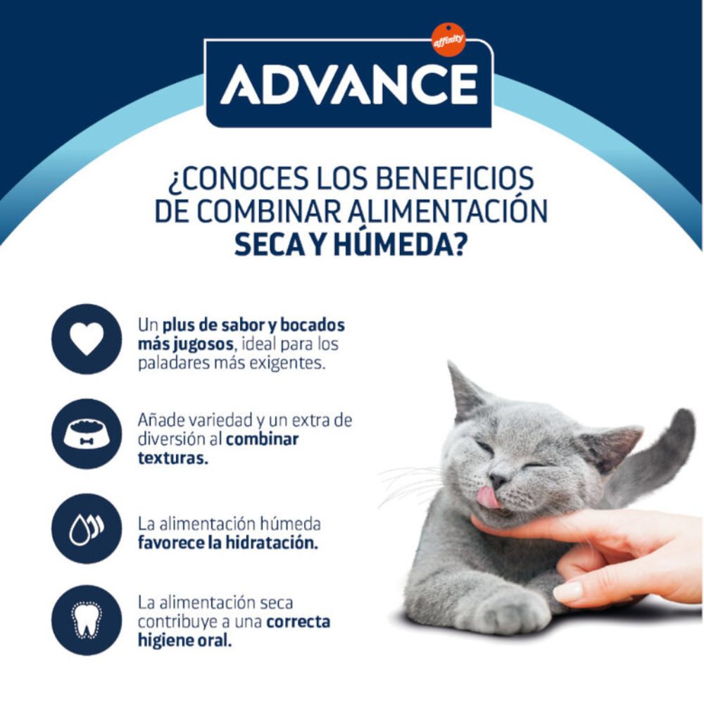 Advance Cat Bocaditos en Salsa para Gatos Adultos con Pollo - 85 g ADVANCE Mascotas-Ávila